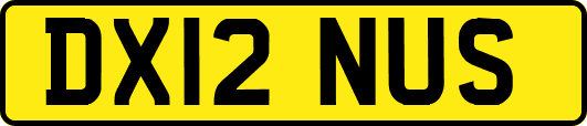 DX12NUS