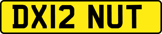 DX12NUT