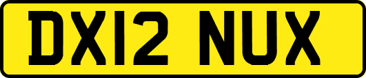 DX12NUX