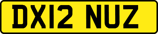 DX12NUZ