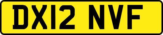DX12NVF