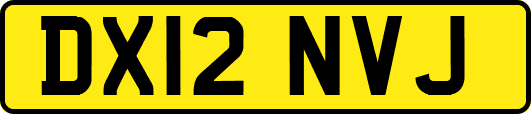 DX12NVJ