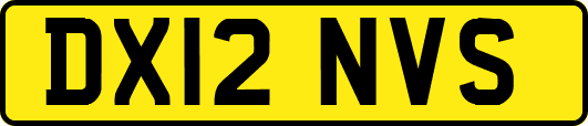 DX12NVS
