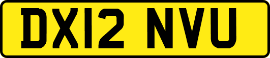 DX12NVU