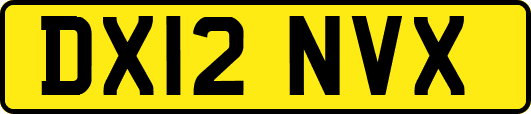 DX12NVX