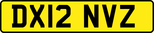 DX12NVZ