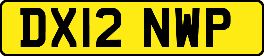 DX12NWP