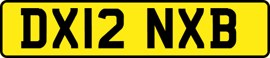 DX12NXB