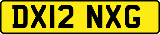 DX12NXG