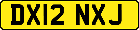 DX12NXJ