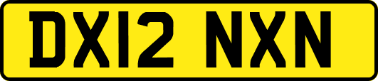 DX12NXN