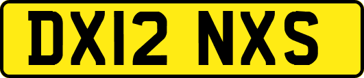 DX12NXS