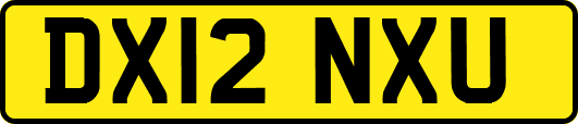 DX12NXU