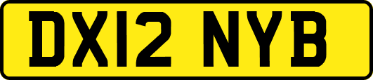 DX12NYB