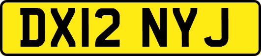 DX12NYJ