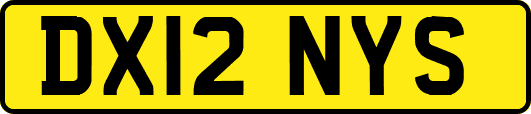 DX12NYS
