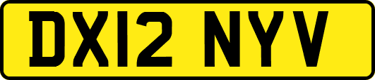 DX12NYV