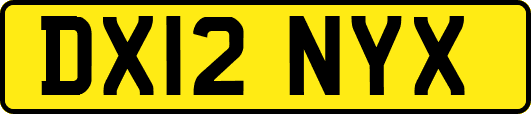 DX12NYX