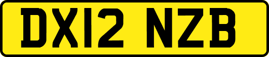 DX12NZB