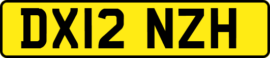 DX12NZH