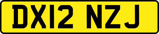 DX12NZJ