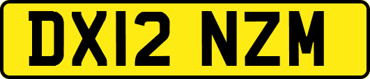 DX12NZM