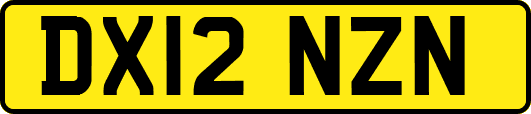 DX12NZN