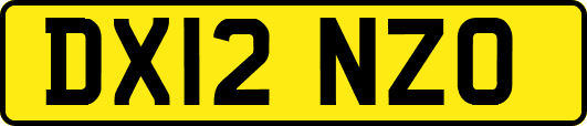 DX12NZO