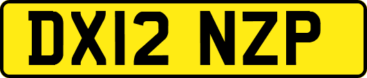 DX12NZP