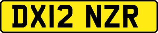 DX12NZR