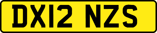 DX12NZS