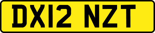 DX12NZT