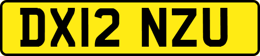 DX12NZU