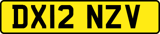 DX12NZV