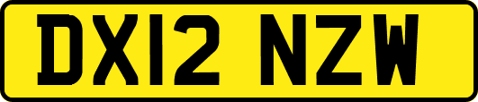 DX12NZW