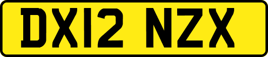 DX12NZX