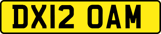 DX12OAM