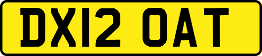 DX12OAT