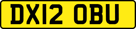 DX12OBU