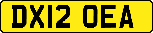DX12OEA