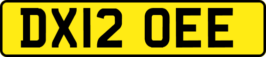 DX12OEE