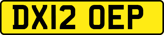 DX12OEP