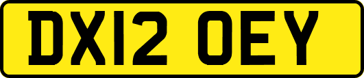 DX12OEY
