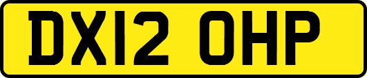 DX12OHP