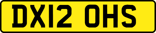 DX12OHS