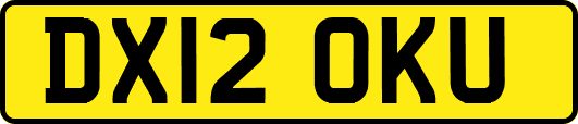 DX12OKU