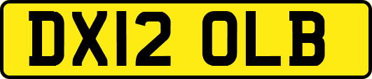 DX12OLB
