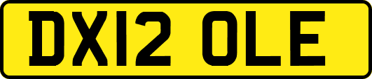 DX12OLE