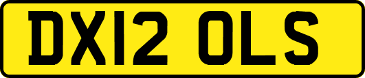 DX12OLS