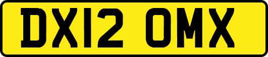 DX12OMX